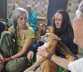 21-Daagse 200-Uurige Multi-Style en Integrale Yogadocentenopleiding in Rishikesh, India - Photo 4