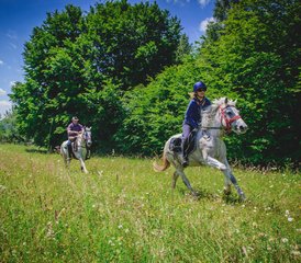 27 Tage Reiturlaub zur Entdeckung der Verborgenen Pfade und der Kultur Siebenbürgens, Rumänien - Photo 1