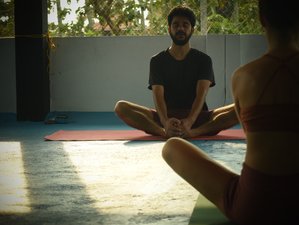 17 Day 200-Hour Hatha, Ashtanga and Flow Intense Yoga Teacher Training Course in Kerala, India