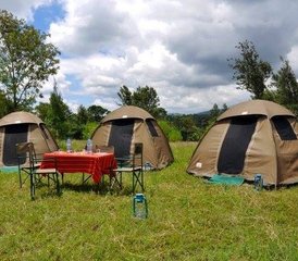 8 jours en stage de safari partagé en Tanzanie et vacances à la plage à Zanzibar - Photo 4
