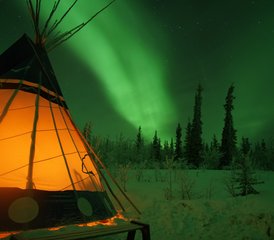 04 Tage Aurora-Beobachtung und Tierwelt und heiße Quellen Retreat in Yukon, Kanada - Photo 1