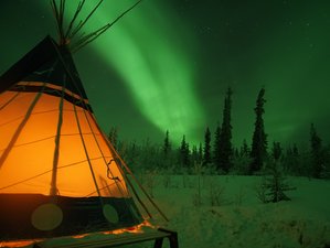 4 Day Aurora Viewing and Wildlife and Hot Springs Retreat in Yukon, Canada