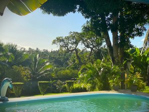8 Day Relax, Yoga, Massage, Meditation, Chill Out Detox Vacation in Bahia, Brazil