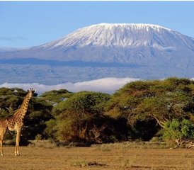 7-Daagse Kilimanjaro Beklimming De Marangu Route Safari in Tanzania - Photo 3