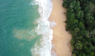 Bluff strand Retraites en Reizen