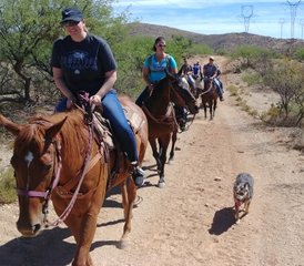 8 jours vacances équestres familiales et séjour ranch à Elgin, Arizona, USA - Photo 2