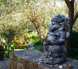 6 días de retiro de yoga Satkāra: sostenidos en la devoción en Alentejo, Portugal - Photo 5