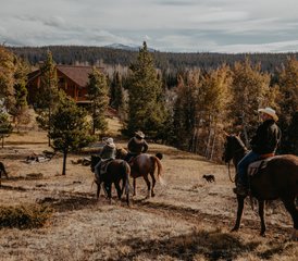 8 Tage Reitpaket mit langen, geführten Ausritten durch das Chilcotin, British Columbia, Kanada - Photo 4