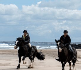 5-Daagse Op Maat Gemaakte Klassieke Paardrijavontuur aan de Causeway Kust in Ierland, Ierland - Photo 5