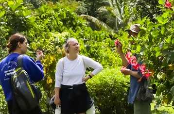 14 Tage Regenwaldverbindung Urlaub in El Castillo, Arenal, Costa Rica