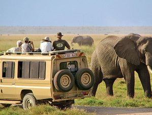 9 Days Ndutu Crater Tour and Big Five Safari in Tanzania