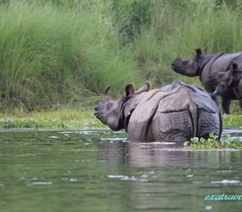 06 Tage Safari im Chitwan-Nationalpark und Himalaya-Tour in Nepal - Photo 1