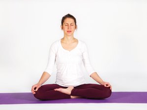 8 Tage Vipassana-Meditations-Schweigekurs in Bad Meinberg