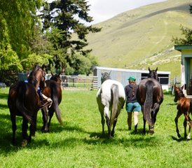 4 jours en stage d’équitation en Nouvelle-Zélande : campez comme des cow-boys et terminez au bord d’un lac privé - Photo 5