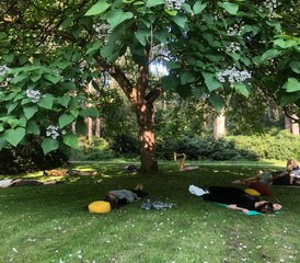 3 Tage Stille Yoga Retreat in der wunderschönen Natur auf der Veluwe - Photo 2