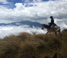 08 jours de vacances équestres au volcan Cotopaxi, Équateur - Photo 1