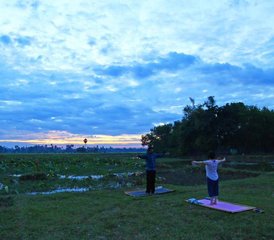 8 Tage Friedlicher Meditations Retreat in Siem Reap, Kambodscha - Photo 5