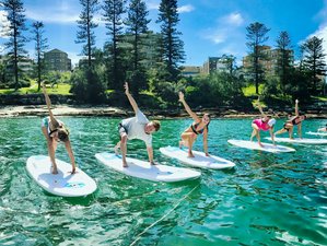 3-Daagse SUP Yoga Docentenopleiding in Manly Beach, Australië