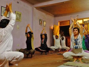 35 Day 300-Hour Yoga Teacher Training in Ashram in the Himalayas, Near Dharamshala, India