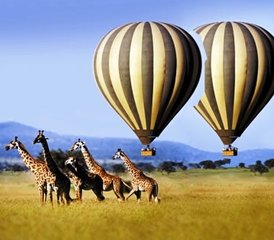 7 jours en stage de safari écologique au Masai Mara, au Serengeti, au Ngorongoro et à Amboseli, Kenya et Tanzanie - Photo 2