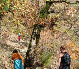 2 Tage Yin- und Kundalini-Yoga, Wandern, Naturverbundenheit und Ayurveda in den Cevennen - Photo 3