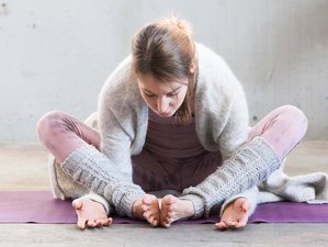 50-Stunden Selbstbestimmte Online Yin Yogalehrer Ausbildung