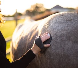 15 jours en stage d’équitation : Échappez à l’ordinaire, reconnectez-vous avec les chevaux sur la Wild Coast, Afrique du Sud - Photo 4