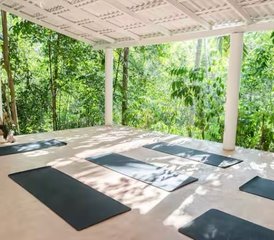 7-Daagse Yoga, Ayurveda en Healing De Retreat in Ahangama, Sri Lanka: Herstel de Verbinding met Je Authentieke Zelf - Photo 5