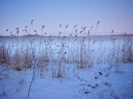 Southern Savonia