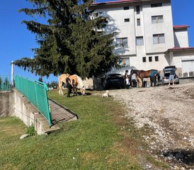 7 jours en stage d’équitation "Karabalkan" dans les magnifiques montagnes des Rhodopes, Bulgarie - Photo 5