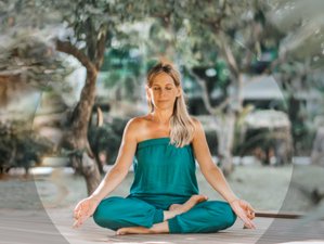 5 Day Mindfulness for Busy Professionals in Mallorca, Spain