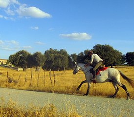 7 Day Gredos to Salamanca Progressive Horse Riding Tour in Spain - Photo 5