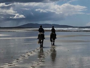 7 Day Wild Atlantic Way Horse Riding Holiday in Ireland