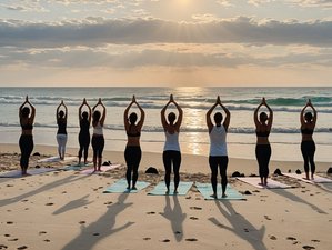 7 Tage Auszeit, wo das Meer Ihrer Wiedergeburt begegnet: Surf- und Yoga-Retreat in Tamraght, Marokko