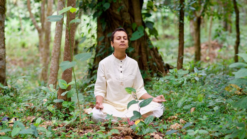 23 días de rejuvenecedor retiro con Hatha yoga clásico en las montañas Azules en Tamil Nadu, India