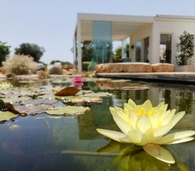 7 jours en stage de yoga et bien-être dans les Pouilles, Italie - Photo 2
