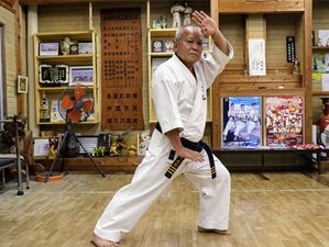14 Day Yaeyama Island Karate Holiday Package in Okinawa
