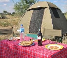 7 Tage Safari in Tarangire, Serengeti, Ngorongoro-Krater und Lake Manyara, Arusha, Tansania - Photo 5