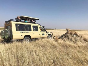 9 Days Cultural and Walking Safari Tour in Tanzania