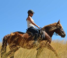 8 Tage Sonniger Reiturlaub in Heraklion, Kreta, Griechenland - Photo 3