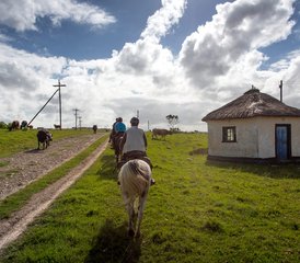 8 jours de randonnée équestre Wild Coast Trail le long de la côte sauvage d’Afrique du Sud - Photo 4