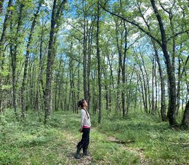 5 Day Journey to Yoga of Inner Light Retreat at Chateau de Montcuquet, Lautrec, France - Photo 2
