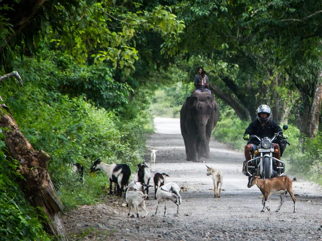 22 Day Himalayan Heights Guided Motorcycle Tour in India photo 3