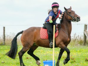 7 Day 6 Night Teen Horse Riding Holiday in Wales, UK