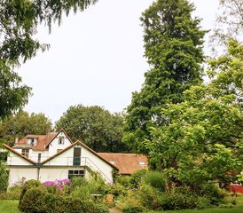 3 Day Weekend Iyengar Yoga Retreat in Veluwe, Gelderland, Netherlands - Photo 5