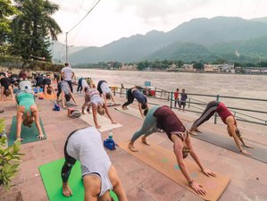 7 Day Reenergizing Yoga Retreat in Rishikesh, India