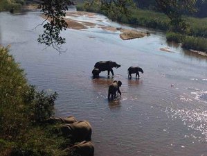 3 Day Umkumbe Luxury Safari Lodge Holiday in Kruger National Park, South Africa