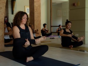 7 Day 50-Hour Myofascial Release and Yin Yoga Training in Cebu, Philippines