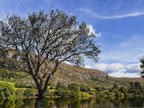 West Cork
