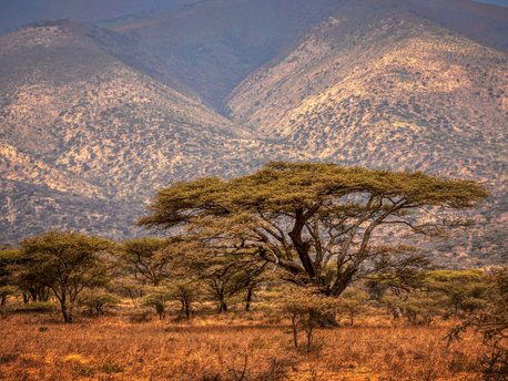 Beschermd gebied van Ngorongoro